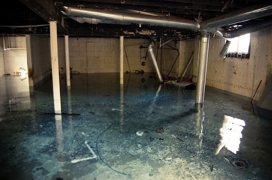 Professional Structural Drying Services