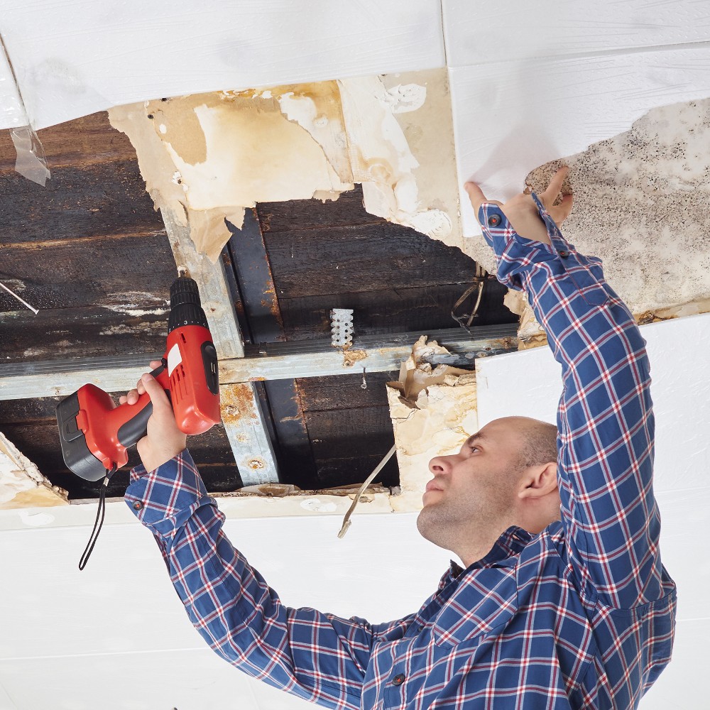 Water damage restoration Leesburg