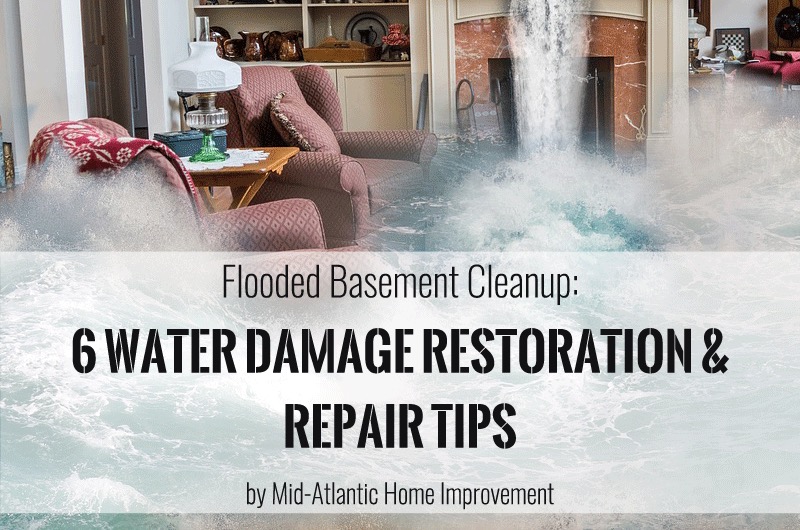 Mold Remediation in Leesburg, VA